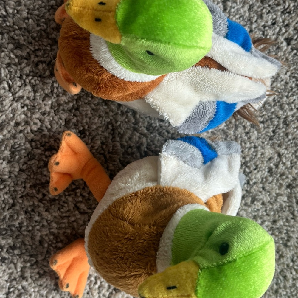 Plush Duck Toy for Birds - Green, Brown, and White